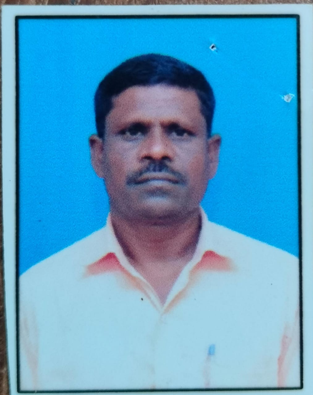 सदस्य